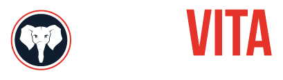 BonaVita logo V24 dia